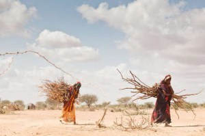 02-29-2012-horndrought